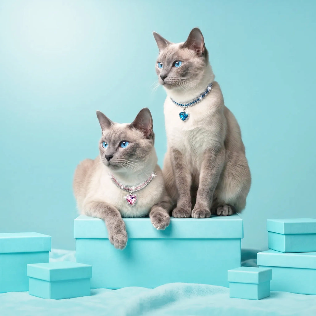 Royal Cat jewelry