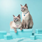 Royal Cat jewelry