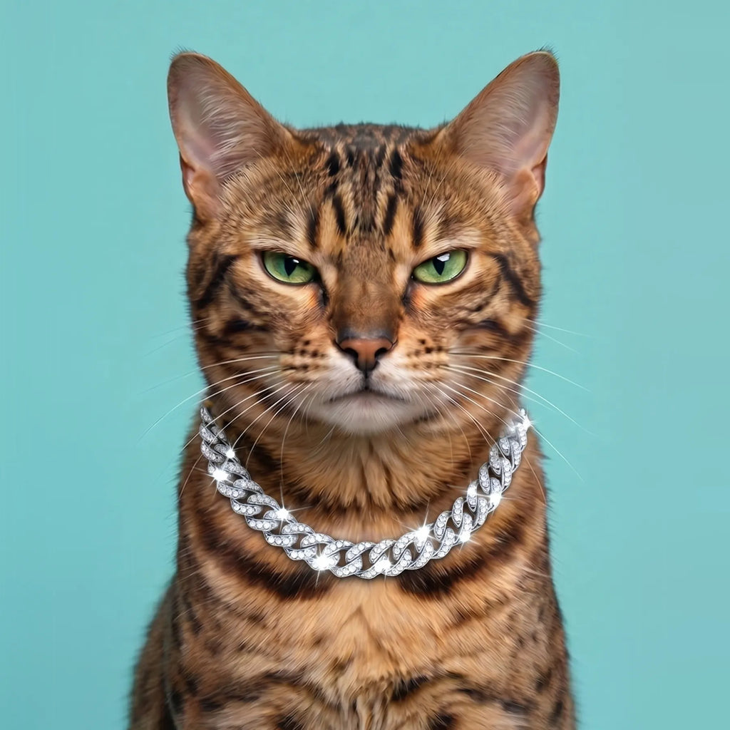 Luxury Cat / Cuban Chain