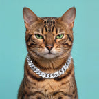 Luxury Cat / Cuban Chain