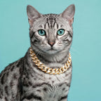 Luxury Cat / Cuban Chain