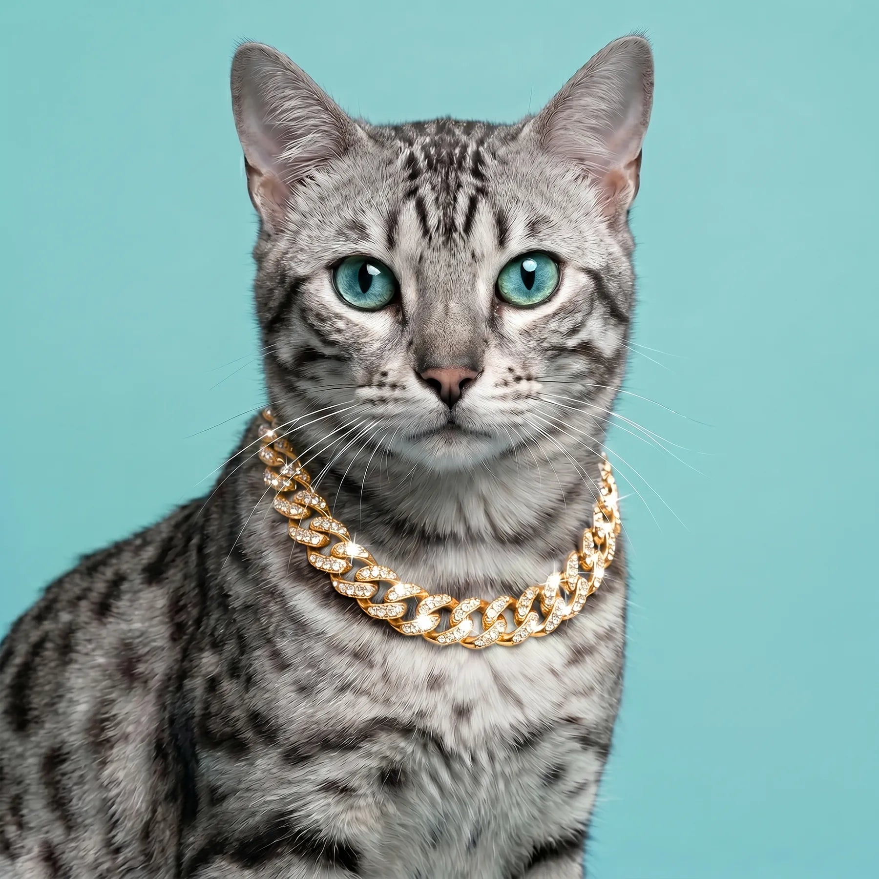 Luxury Cat / Cuban Chain