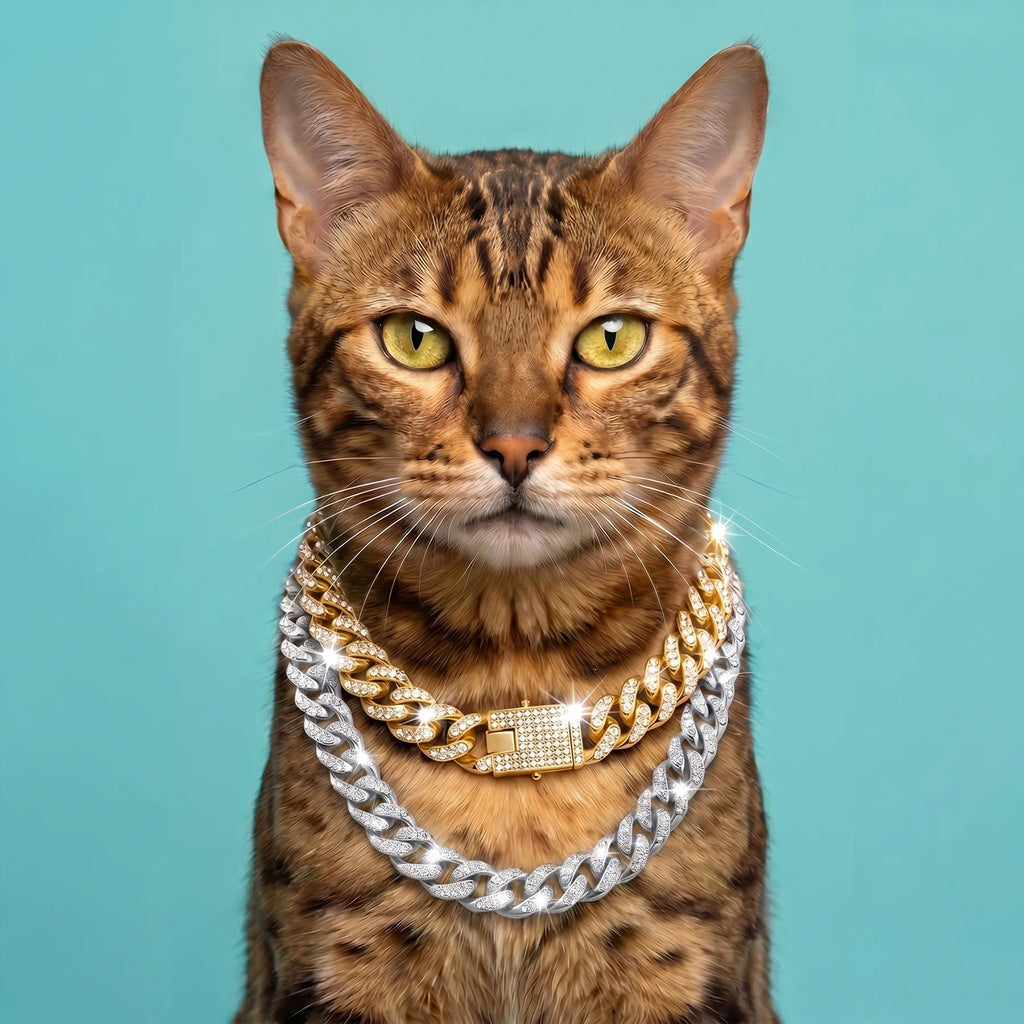 Luxury Cat / Cuban Chain
