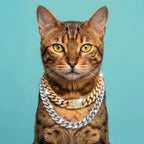 Luxury Cat / Cuban Chain