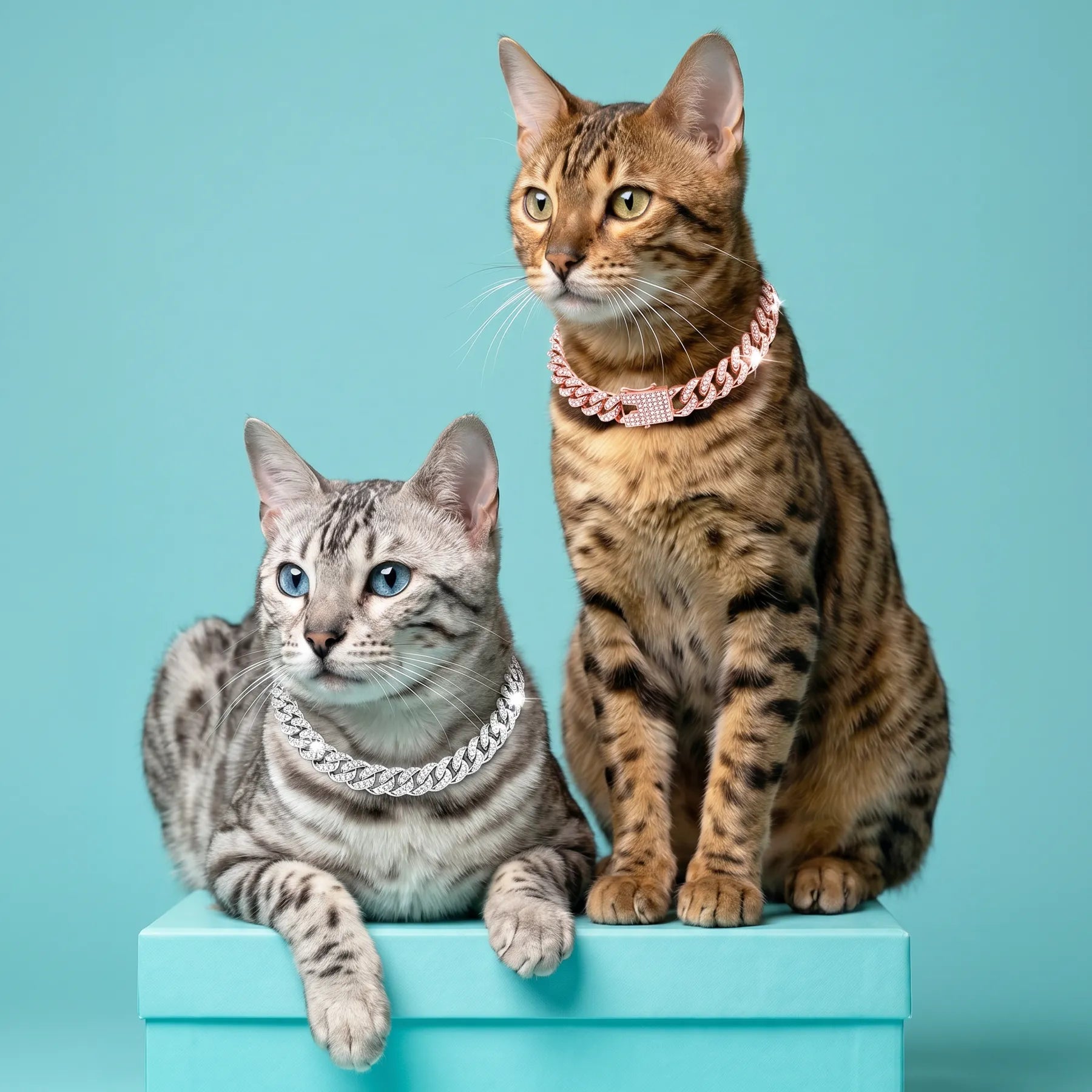 Luxury Cat / Cuban Chain