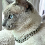 Luxury Cat / Cuban Chain